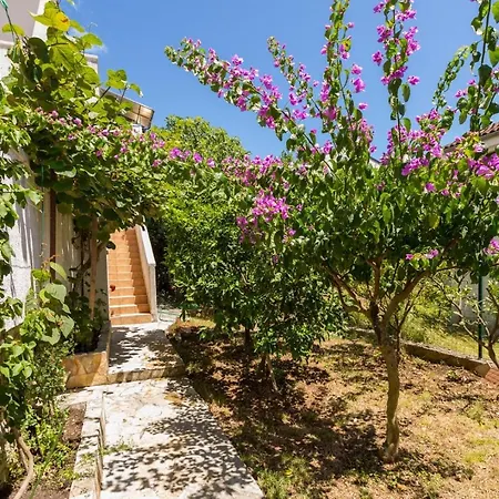 Nives, Artatore 4* Mali Lošinj
